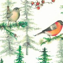 Birds and Trees Christmas Print Paper ~ Tassotti Italy